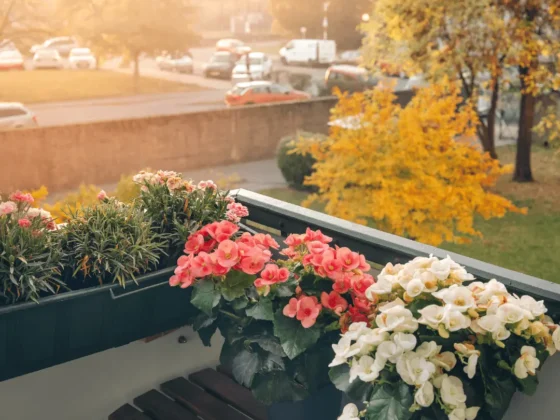 Garden View into Your Outdoor Oasis