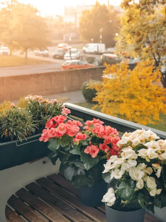 Garden View into Your Outdoor Oasis