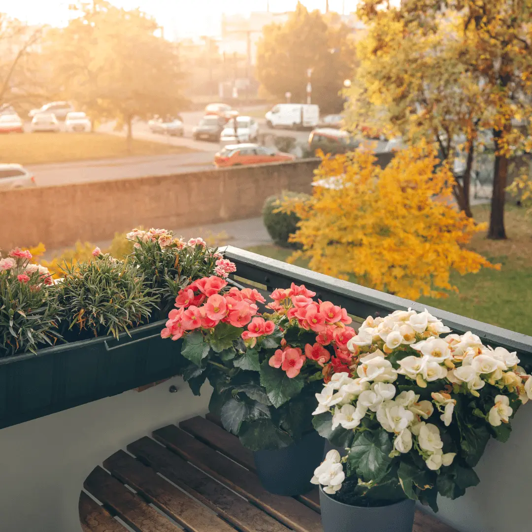 Garden View into Your Outdoor Oasis